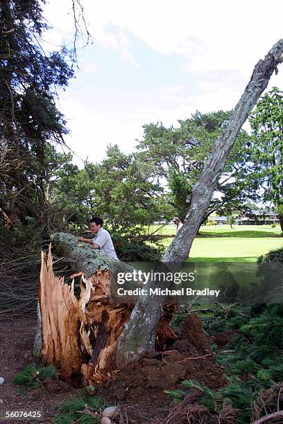 Green keepers from the Waitemata Golf Club inspect the damage from last nights storm that hit Auckland in the early hours of Thursday morning,...