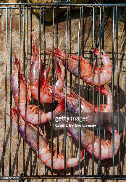 red denia prawns - denia stock pictures, royalty-free photos & images