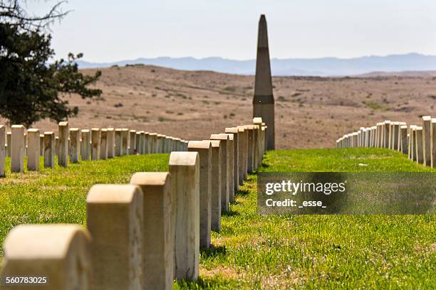 little bighorn graveyard - veldslag stockfoto's en -beelden