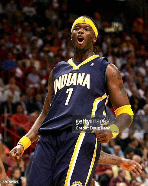 Jermaine O'Neal of the Indiana Pacers celebrates after scoring on a put back against the Miami Heat November 3, 2005 at the American Airlines Arena...