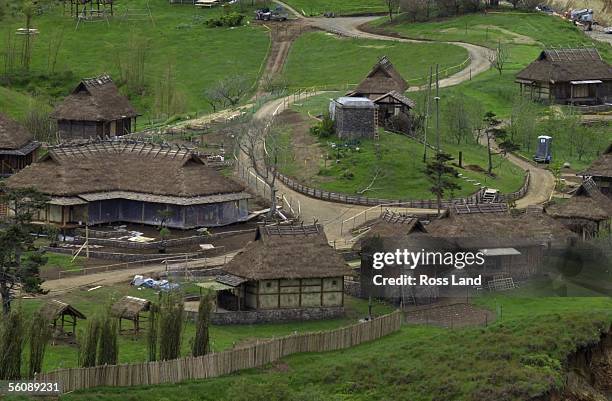 Uri Runtu Nz 21 Uruti Stock Photos, High-Res Pictures, and Images - Getty Images