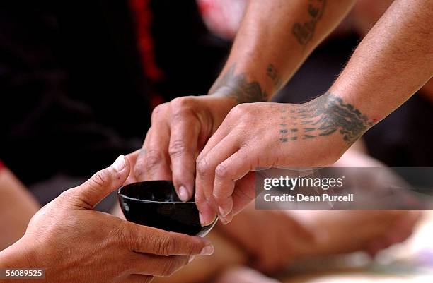 Passing of the traditional Island drink, Kava at the Pasifika Festival held at Western Springs, Saturday. Pasifika is a day long celebration of life...