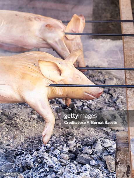 suckling pig cooked on the grill. - lechon stock pictures, royalty-free photos & images