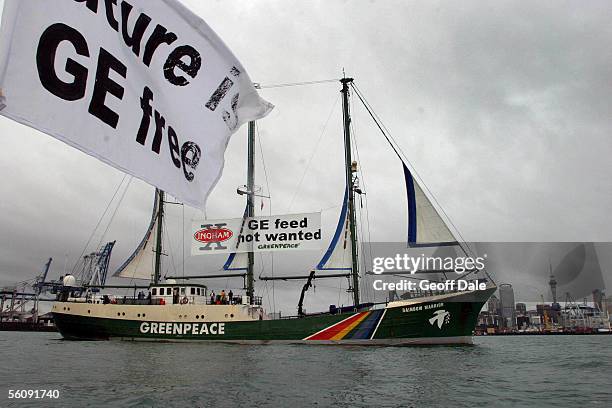 The Greenpeace Rainbow Warrior arrives into the Auckland Harbour, New Zealand, Friday, May15th,2004 as it displays a large GE Free banner on the last...