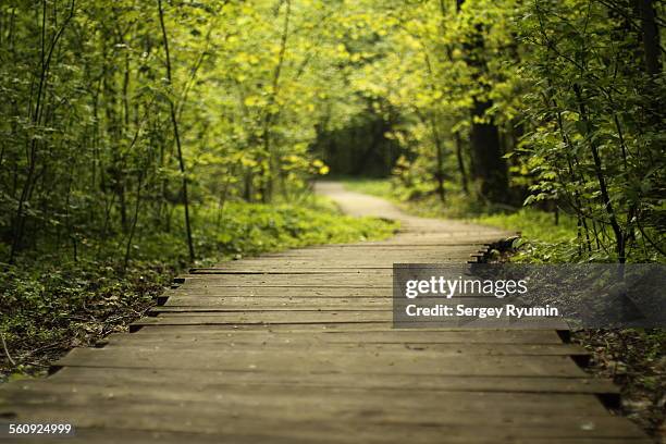 wooden walkway - single lane road photos et images de collection