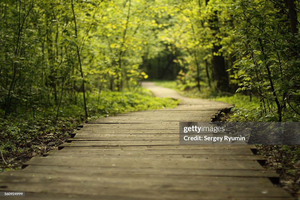 Wooden walkway