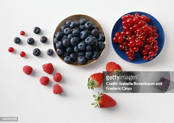 berries - blueberries fruit fotografías e imágenes de stock