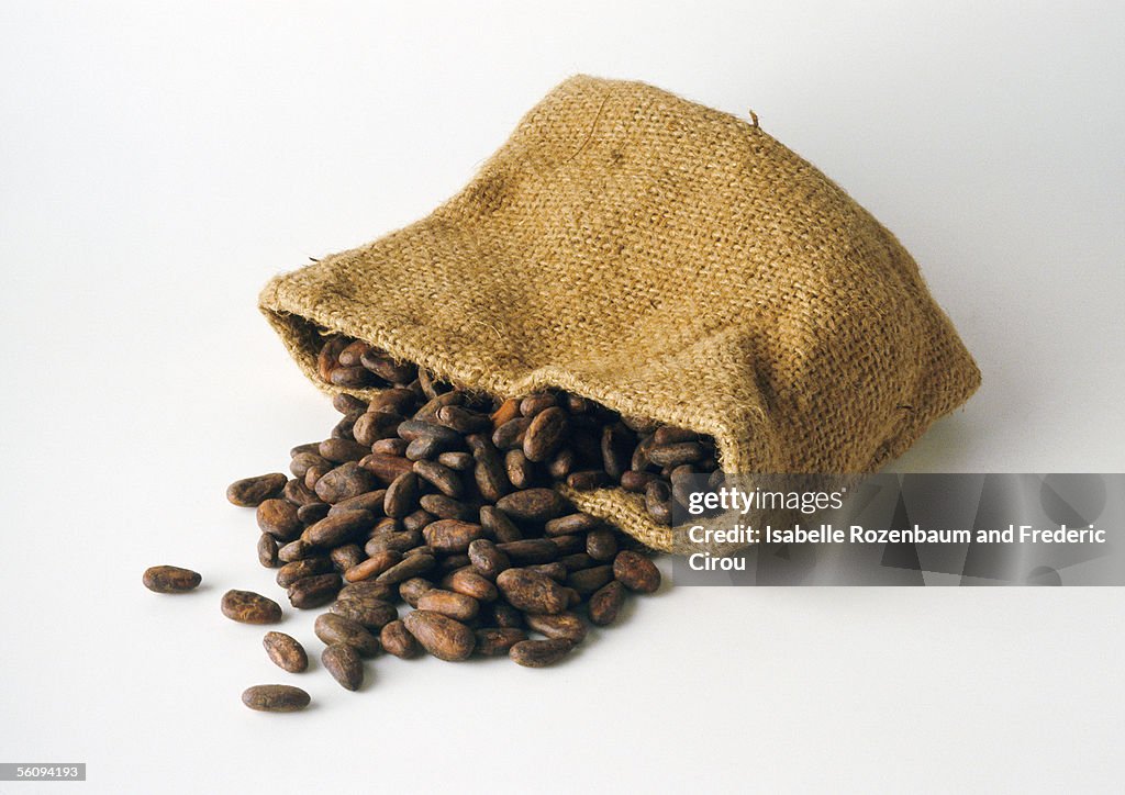 Cocoa beans spilling out of bag