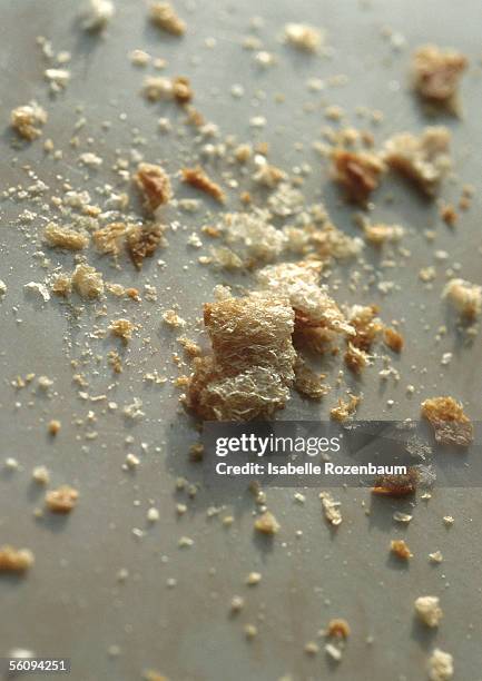 bread crumbs. - breadcrumb stock pictures, royalty-free photos & images