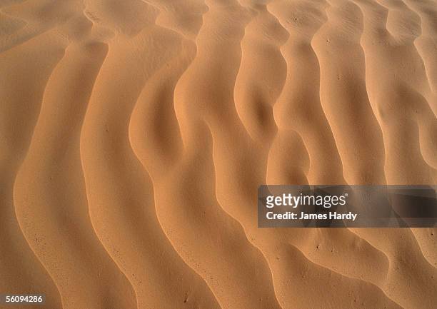 tunisia, sahara desert, ripples in sand. - areia - fotografias e filmes do acervo
