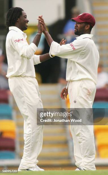 Chris Gayle and Corey Collymore of the West Indies celebrate the wicket of Michael Hussey of Australia during day three of the 1st Test between...