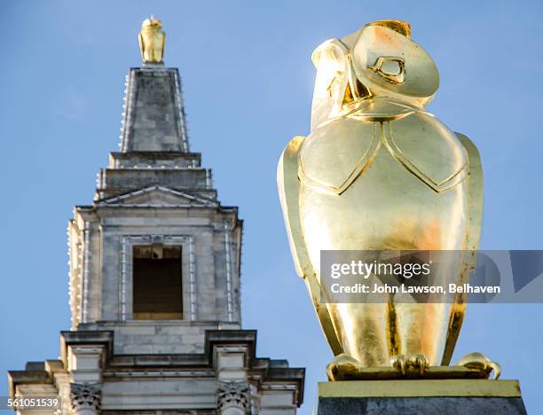 golden owls, leeds civic hall, leeds, england - leeds skyline stock pictures, royalty-free photos & images