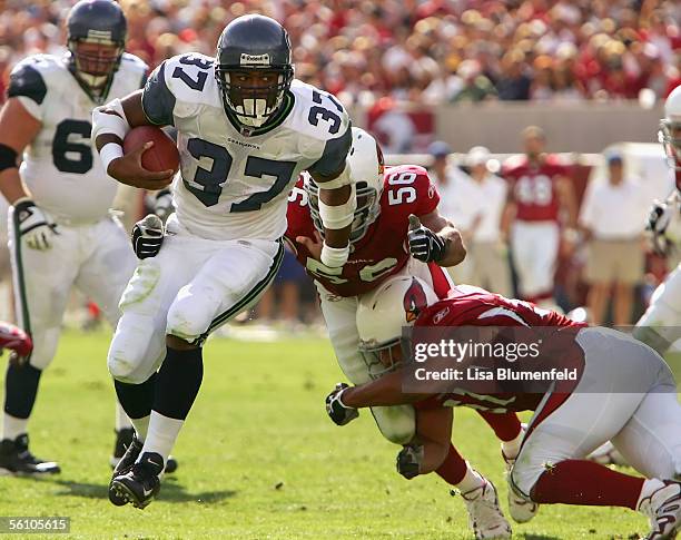 Shaun Alexander of the Seattle Seahawks carries the ball in the first half against the Arizona Cardinals on November 6, 2005 at Sun Devil Stadium in...