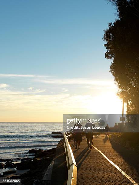 sydney - manly beach stock pictures, royalty-free photos & images
