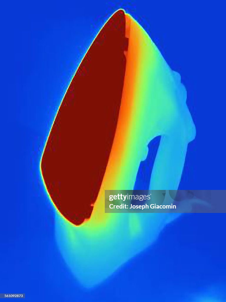 Thermal image of an iron