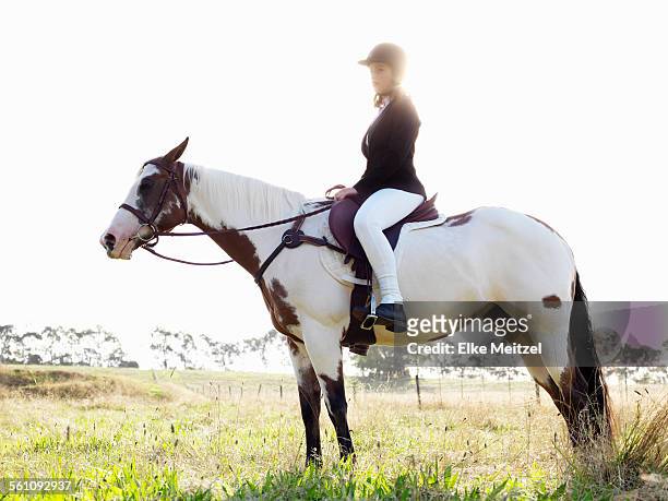 portrait of teenage girl riding horse in field - australian light horse stock pictures, royalty-free photos & images