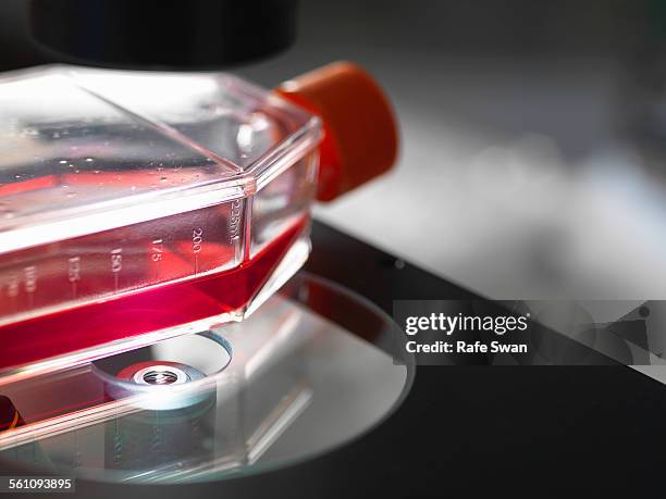 Inverting Flask Lab 65 Inverted Microscope Stock Photos, High-Res Pictures, and Images ...