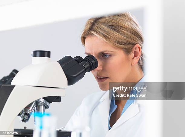 Viewing Glass Science Scientist Looking Through Glass Photos and Premium High Res Pictures ...