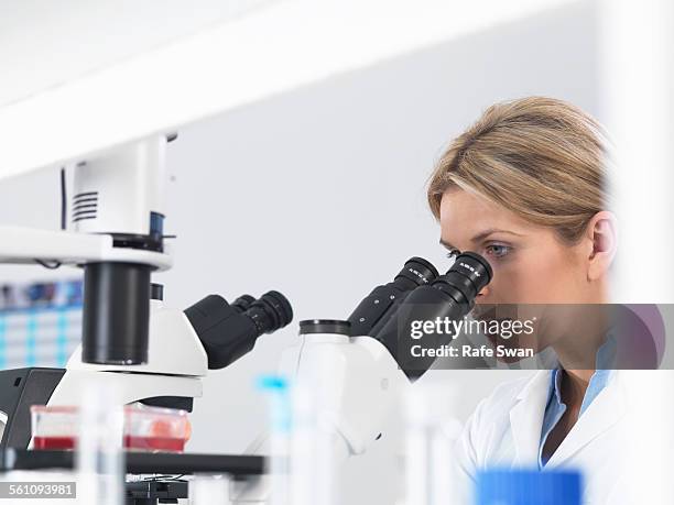Are Microscope Images Inverted Inverted Microscope Photos and Premium High Res Pictures - Getty Images