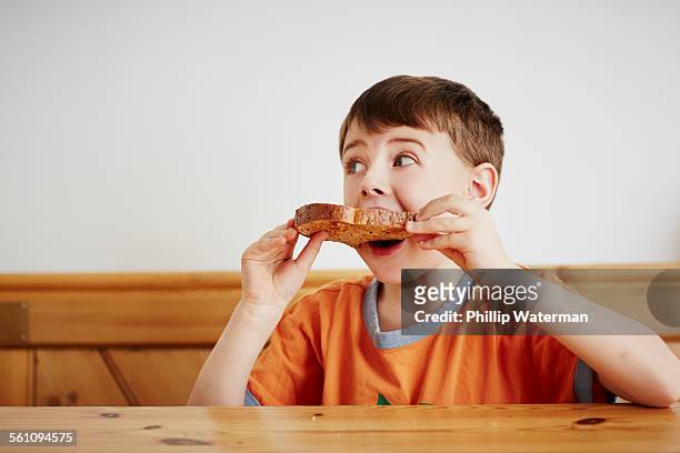 young boy eating piece of toast - children eating breakfast stock pictures, royalty-free photos & images