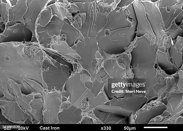 Exploded Microscope 138 Broken Microscope Stock Photos, High-Res Pictures, and Images ...