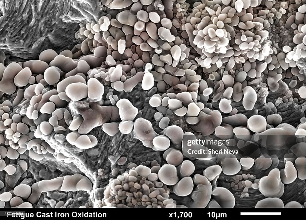 Cast Iron fractured surface. Fatigue striations under iron oxide corrosion imaged in a scanning electron microscope