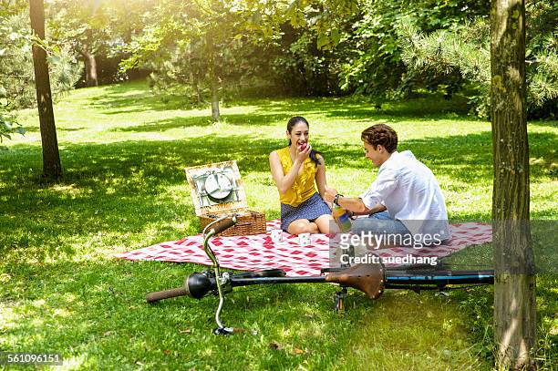 young couple sitting eating picnic on blanket - paar picknick stock-fotos und bilder