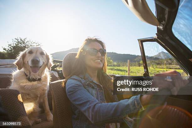 mature woman and dog, in convertible car - auto convertibile photos et images de collection