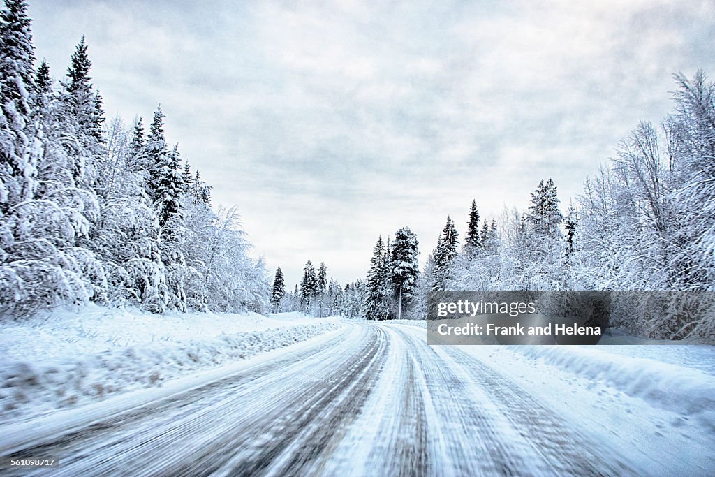 View of snow covered forest highway, Hemavan, Sweden