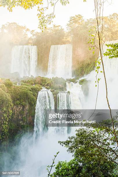 majestic iguazú waterfalls in argentina - iguazú stock pictures, royalty-free photos & images