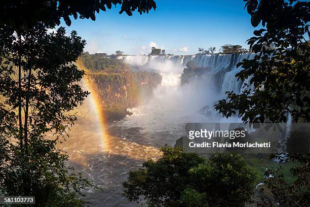 iguazú national park with rainbow, argentina - iguazú stock pictures, royalty-free photos & images