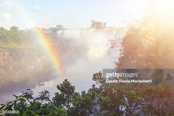 iguazú waterfalls with rainbow, argentina - iguazú stock pictures, royalty-free photos & images