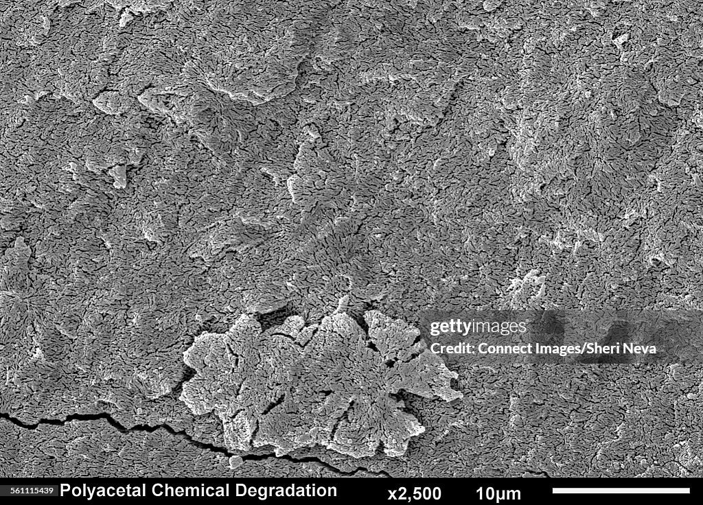 Polyacetal Plastic Chemical Degradation. Failure Spherulites, SEM