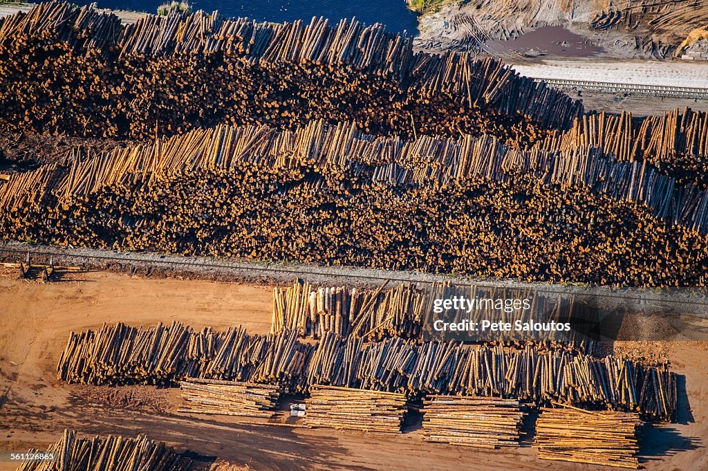 Aerial view of stacks of logged tree trunks in timber yard