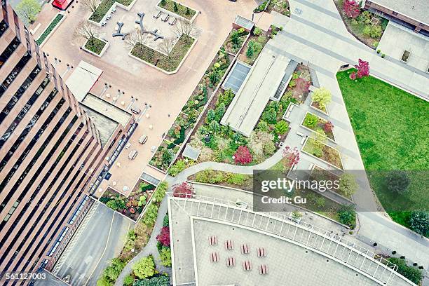 overhead view of office building and recreational area, seattle, washington state, usa - bellevue washington state stock pictures, royalty-free photos & images