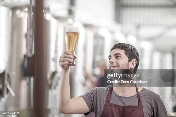 brewer in brewery holding up a glass of beer - beer brewery stock pictures, royalty-free photos & images