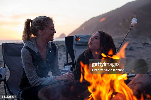 girlfriends having barbecue on beach, malibu, california, usa - campfire stock pictures, royalty-free photos & images