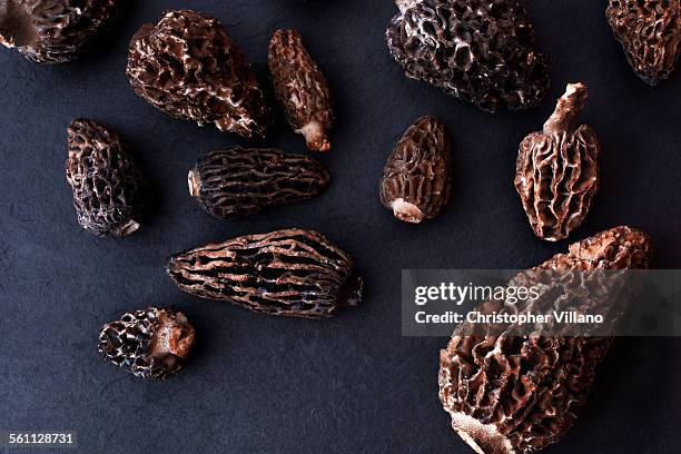 overhead view of dried morel mushrooms - morel mushroom stock-fotos und bilder