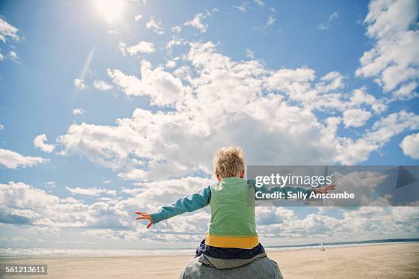 father and son on the beach together - family from behind stock pictures, royalty-free photos & images