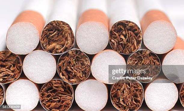 cigarette manufacturing - sigaretta foto e immagini stock