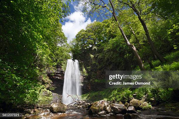 henrhyd falls - brecon beacons national park stock pictures, royalty-free photos & images