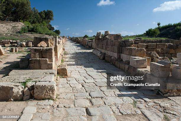 leptis magna - corinthian stock pictures, royalty-free photos & images