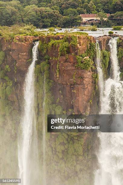 iguazu falls, argentina, south america - garganta del diablo fotografías e imágenes de stock