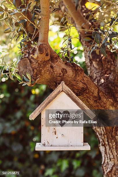 bird house in tree - birdhouse stock pictures, royalty-free photos & images