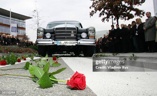 Rose lies in front of the funeral procession carrying the body of Aenne Burda as it drives through the Medienpark of Burda publishing house after the...