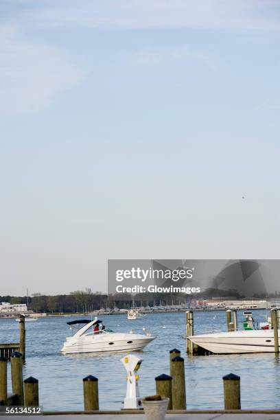boats in water, annapolis, maryland, usa - annapolis harbor stock pictures, royalty-free photos & images