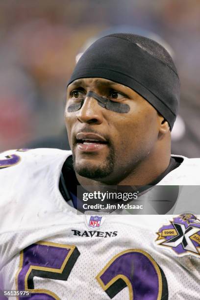 Linebacker Ray Lewis of the Baltimore Ravens watches the game against the Chicago Bears on October 23, 2005 at Soldier Field in Chicago, Illinois....