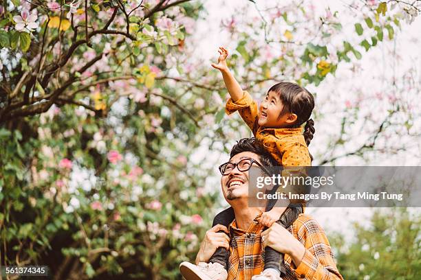 little daughter riding young dad's shoulder - happy family asian stock-fotos und bilder