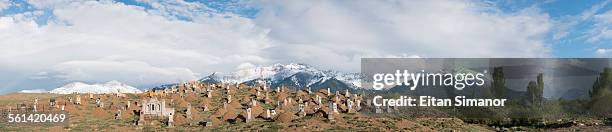 cemetery. barskoon. kyrgyzstan. - summit view cemetery stock pictures, royalty-free photos & images