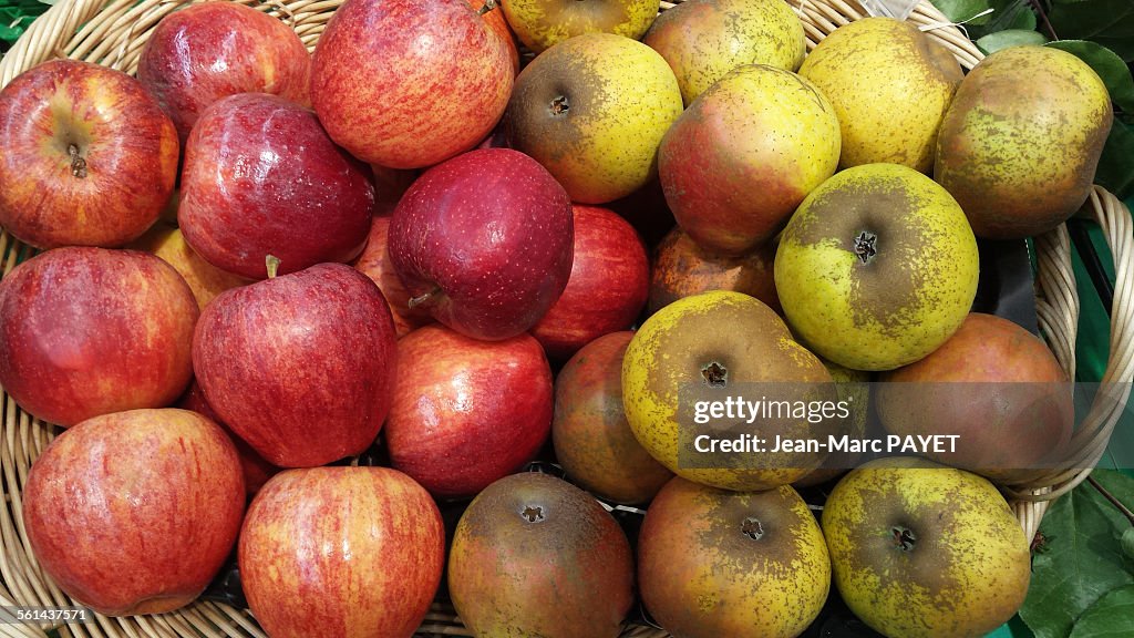 Assorted apples in a wicker basket